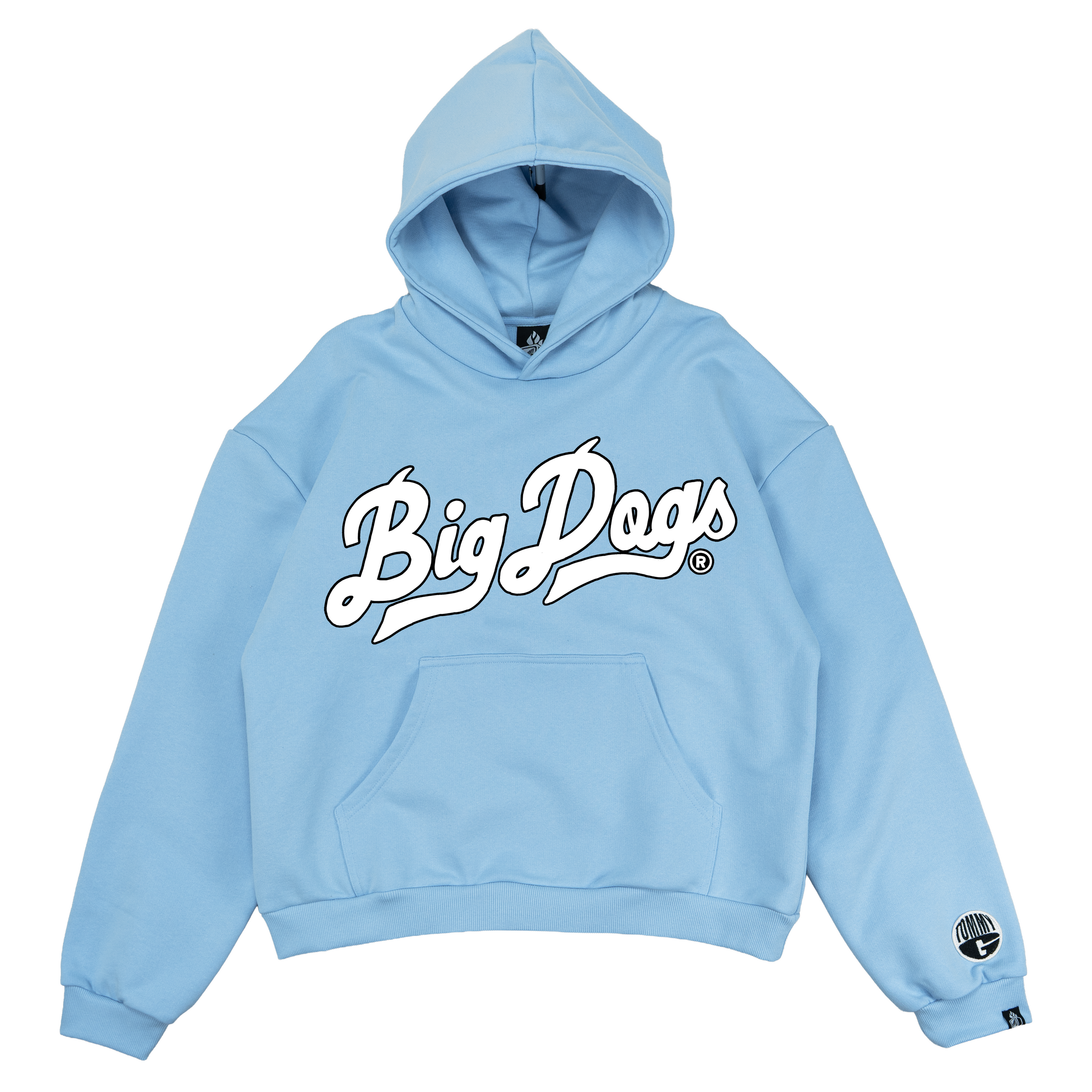 Big Dogs Hoodie (Blue)